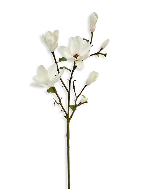 18" Magnolia Stem