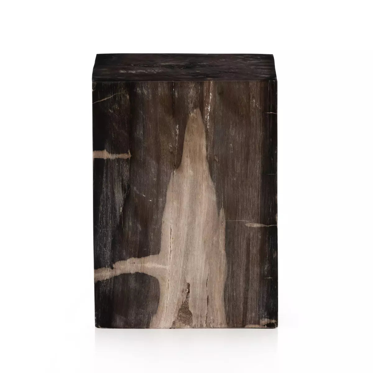Dark Petrified Wood End Table