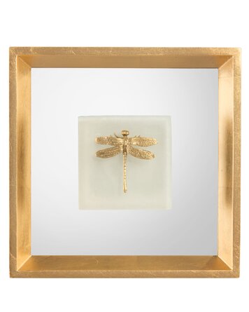 Dragonfly on Alabaster