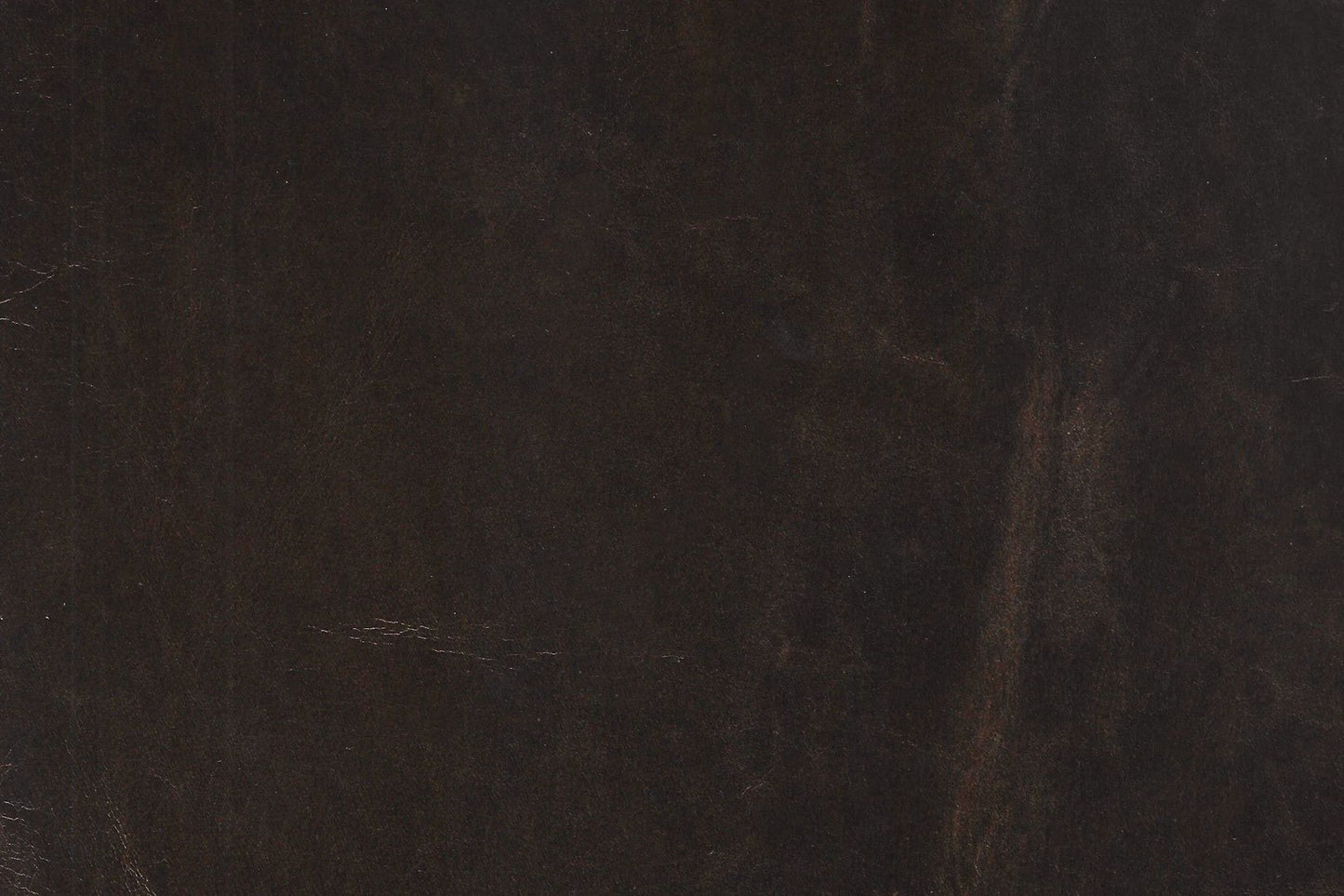 Hayes Leather Chair-Echo Spanish Moss