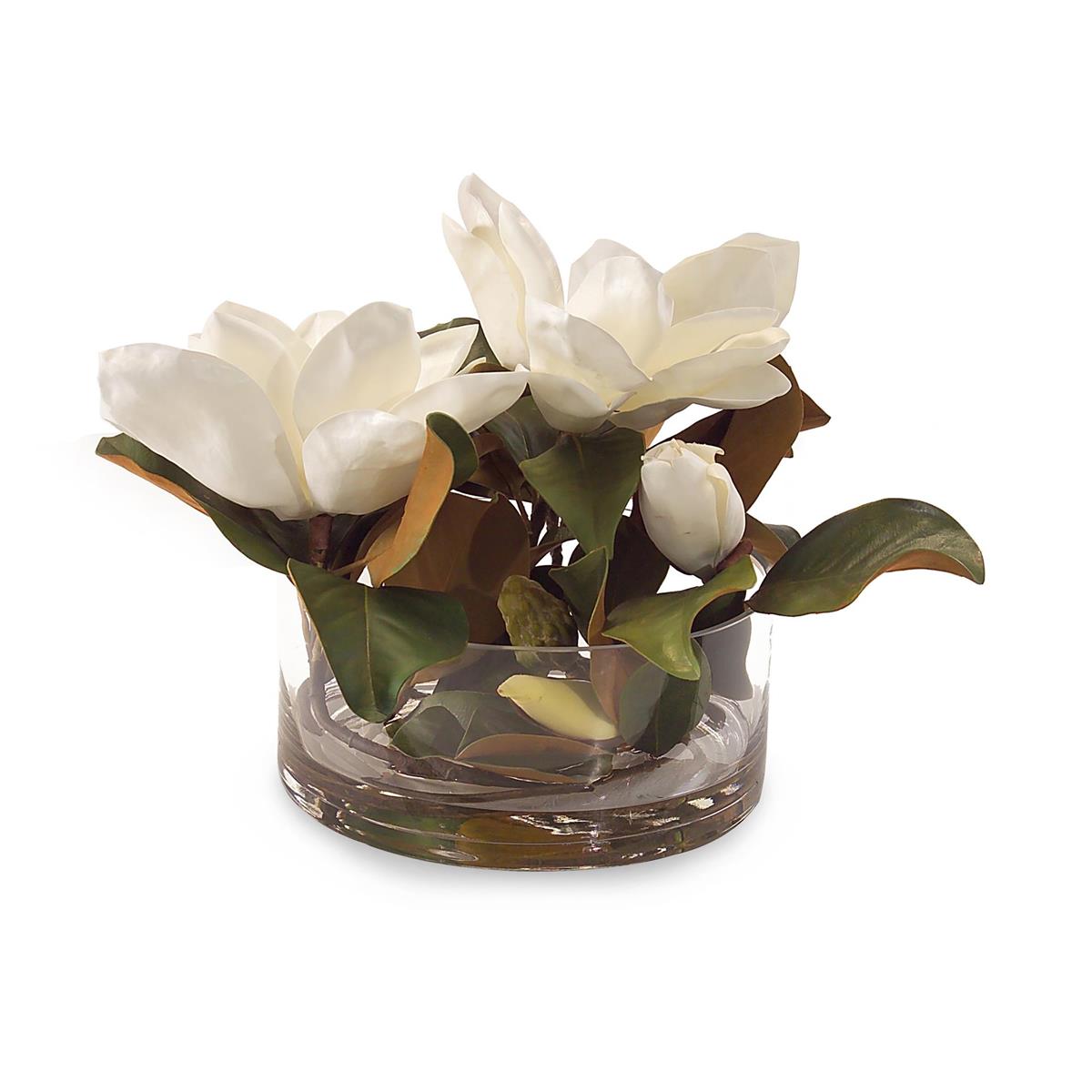 Magnolia GrandiFloral