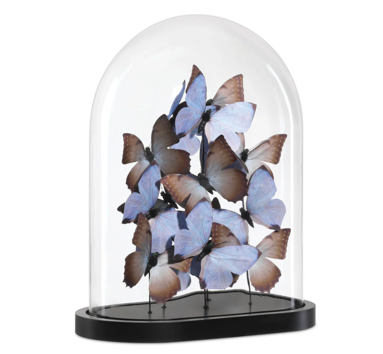 Rue de Bac Lilac large butterflies