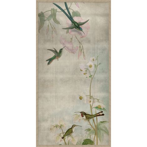 Hummingbird Dances 1