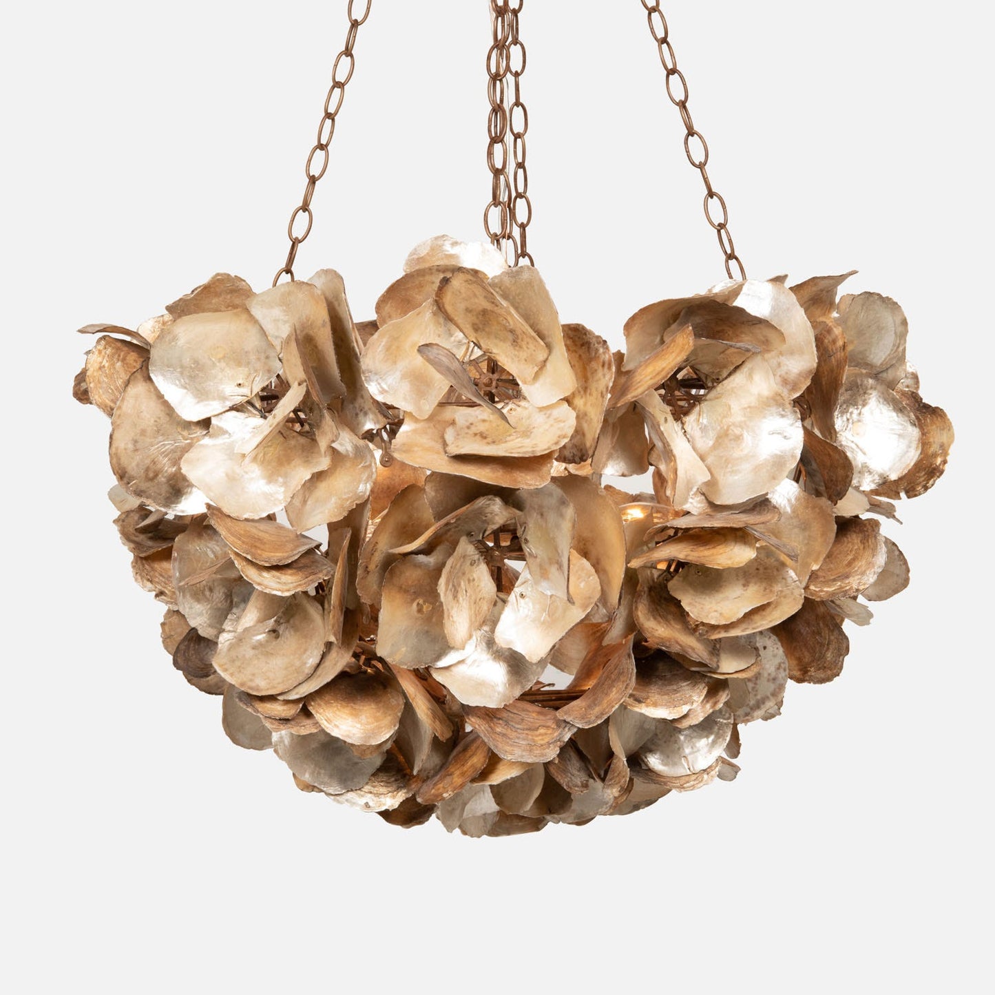 Venus 35x23 Oyster Shell Chandelier