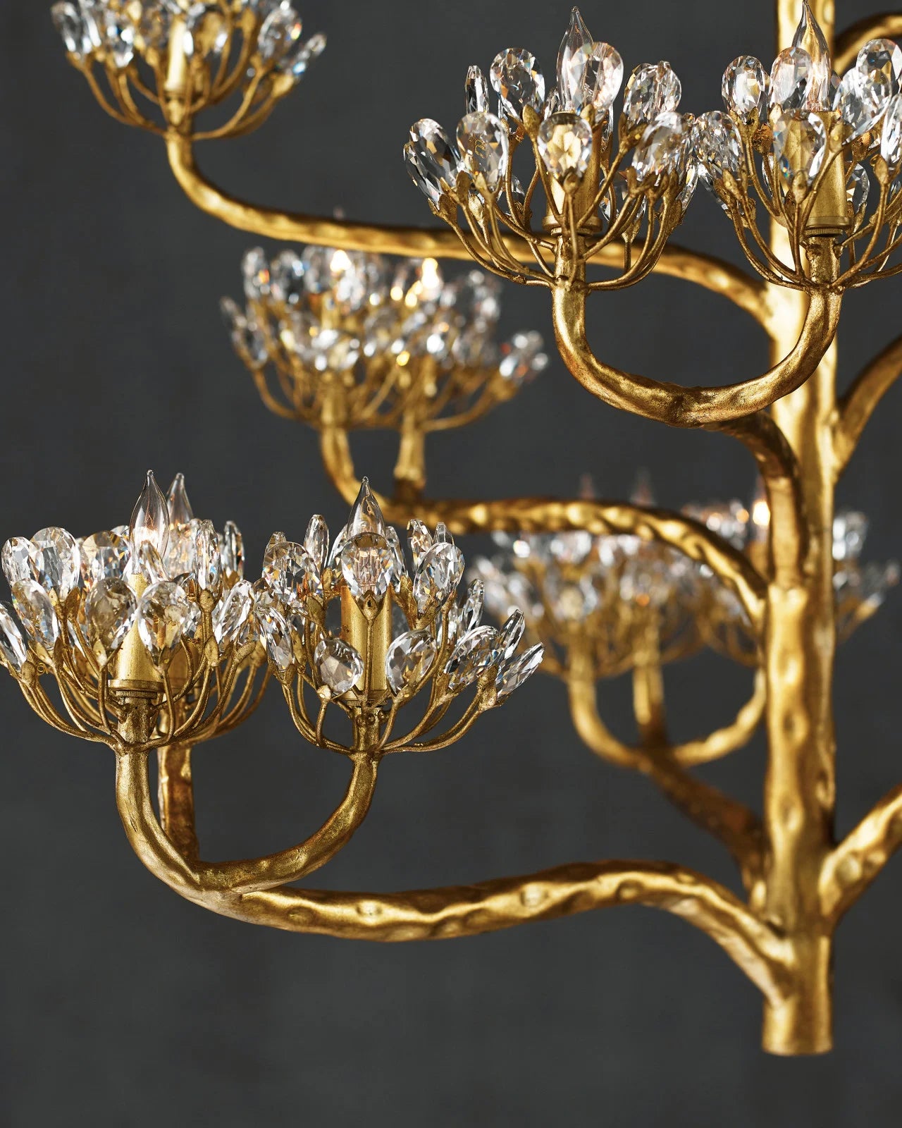 Agave Gold Chandelier