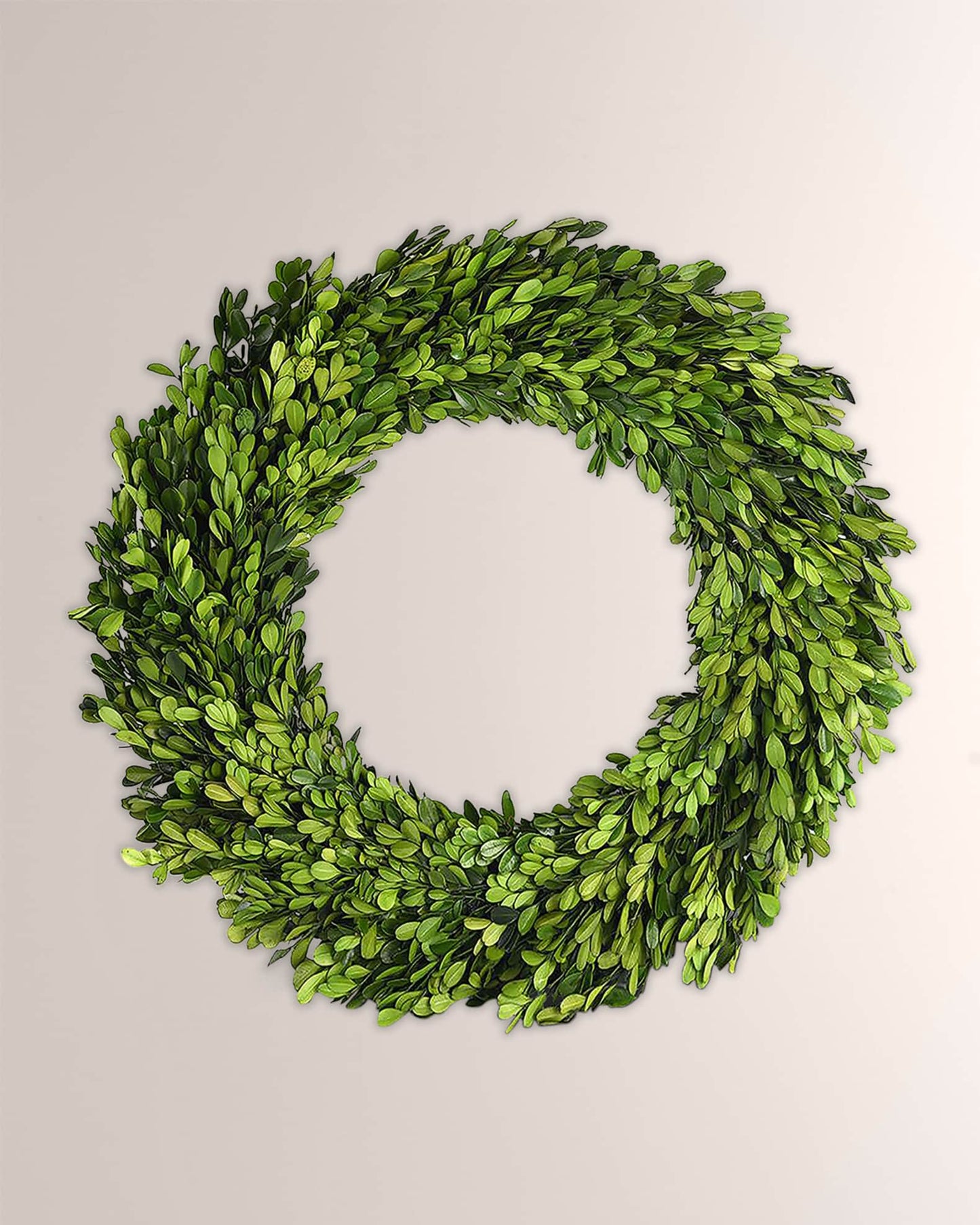 20" Boxwood Wreath