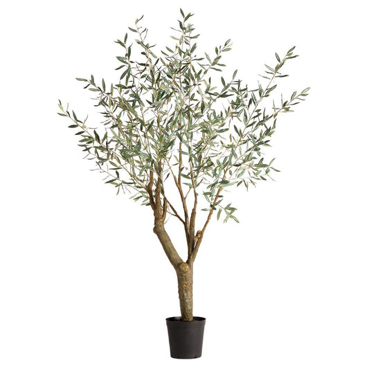 Grand Olive Tree-96"