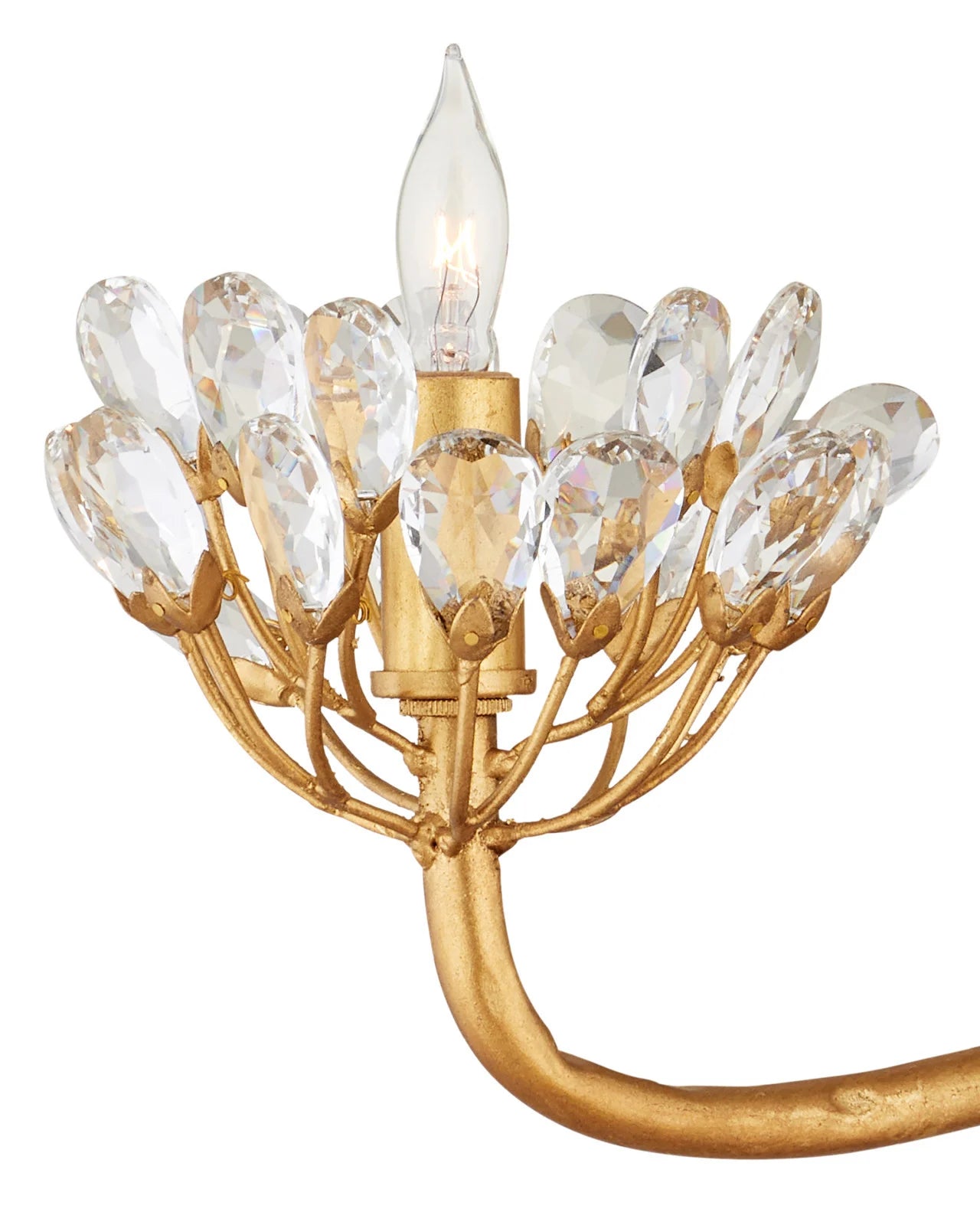 Agave Gold Chandelier