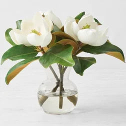 Magnolia Flower in Vase
