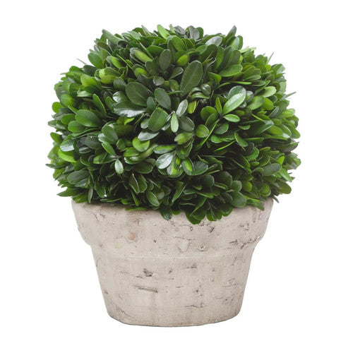 9" Ball Boxwood