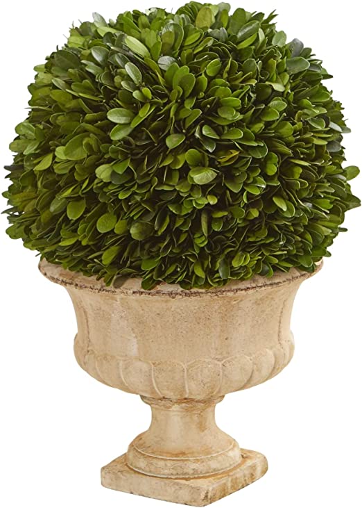 Rect. Boxwood Topiary 12"