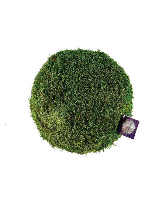 Moss Balls- 6 inch