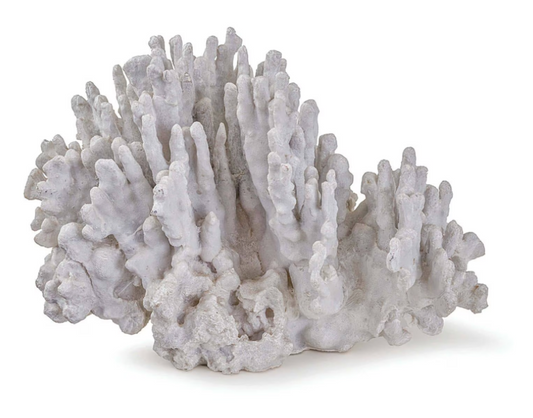 Large Coral