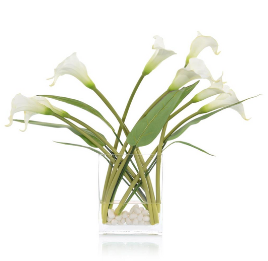 Windblown Callas
