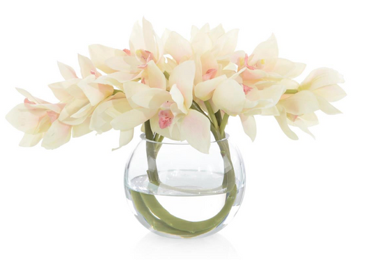 Cymbidium Twist