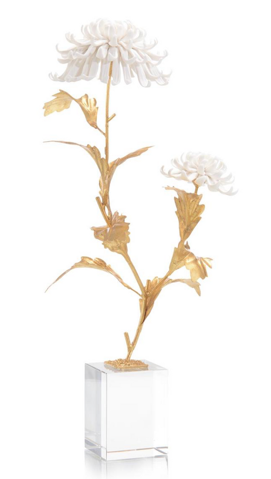 AVIGNON CHRYSANTHEMUMS