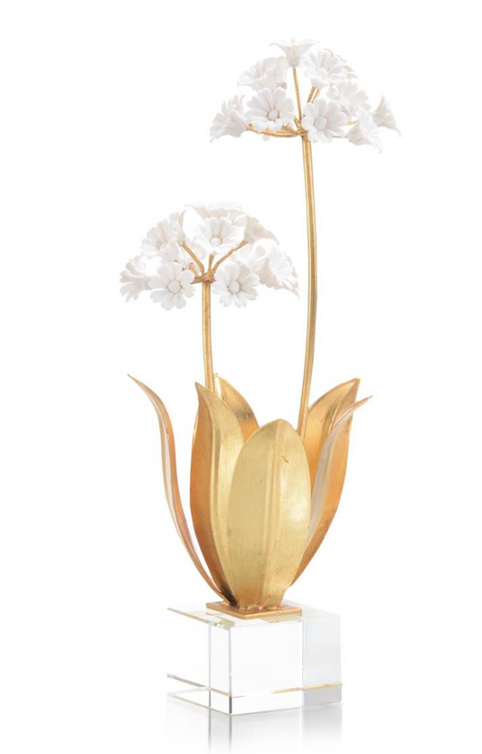 Allium Moly in Porcelain
