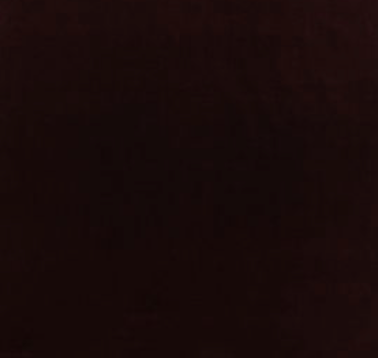 Eggplant Throw Pillow