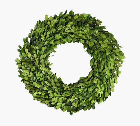 24" Live Boxwood Wreath