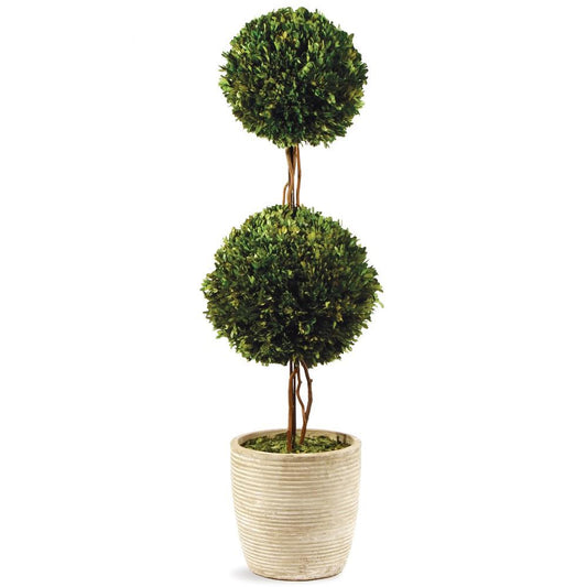 39" Boxwood Double Ball Topiary