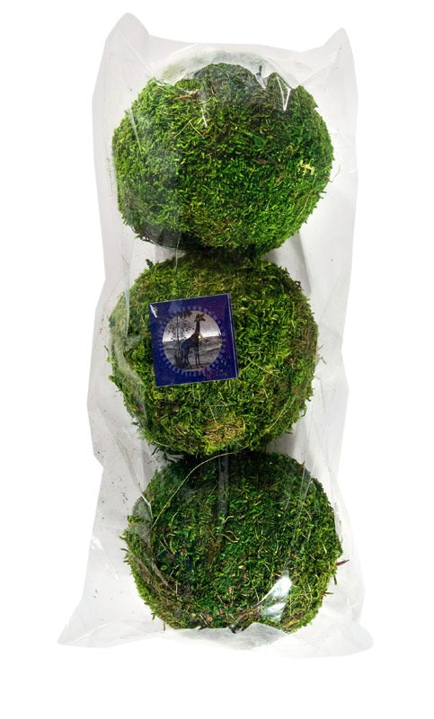 Moss Balls- 4 inch